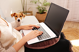 alternative work arrangements